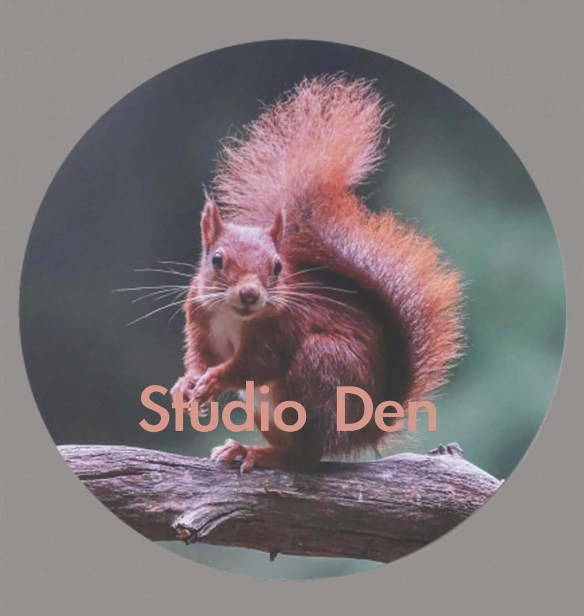 De Veentjes IJhorst 部屋 写真